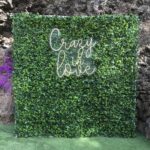 Jardín vertical con neón Crazy in Love +149,00 €